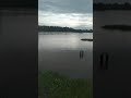 Sandomierz Wisła powódź 23.5.19 4.8m
